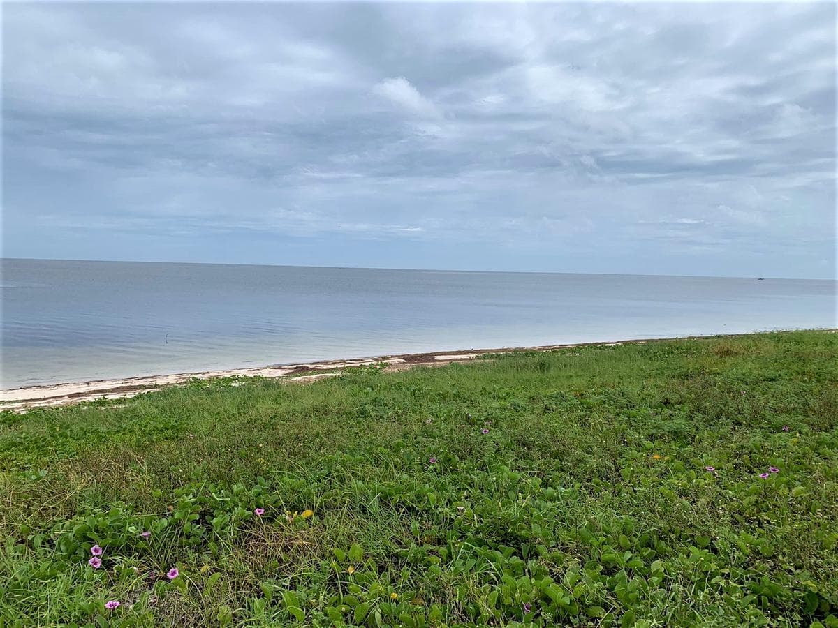A 20 x 190-meter beachfront lot with a cabin. Located on the road to Dzilam de Bravo