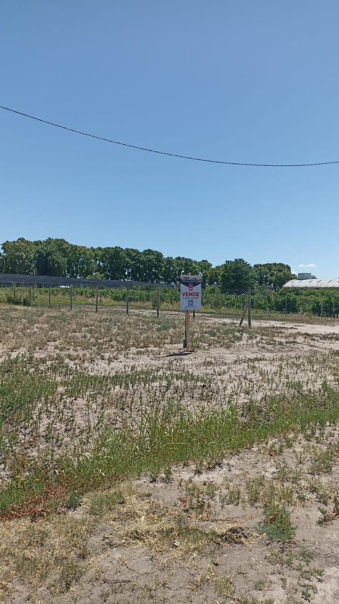Lot in Colonia Alvear Oeste