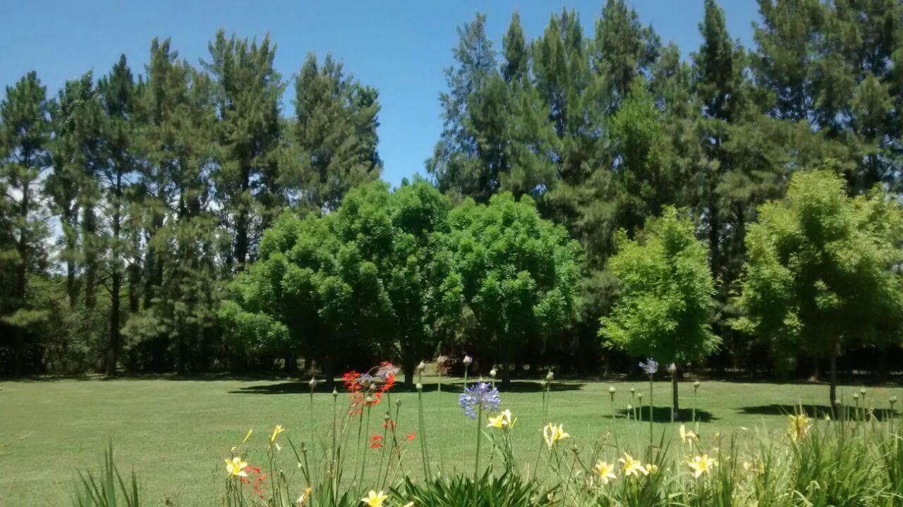 Country house for sale in Colonia de Chacras - Los Cardales, 6 km², 6 rooms, pool, barbecue area, and guest quarters