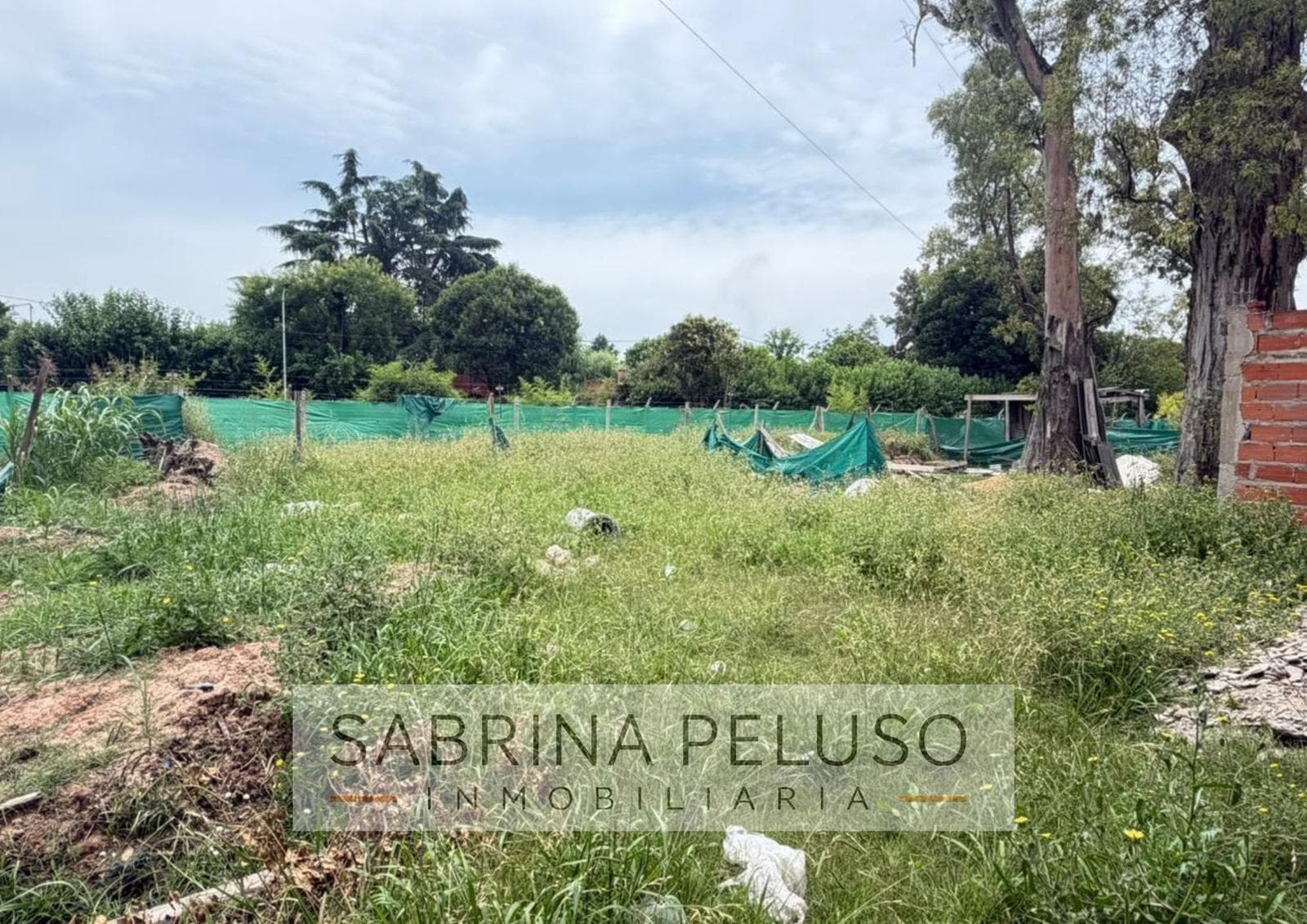 House for Sale in Alvaréz del Bosque
