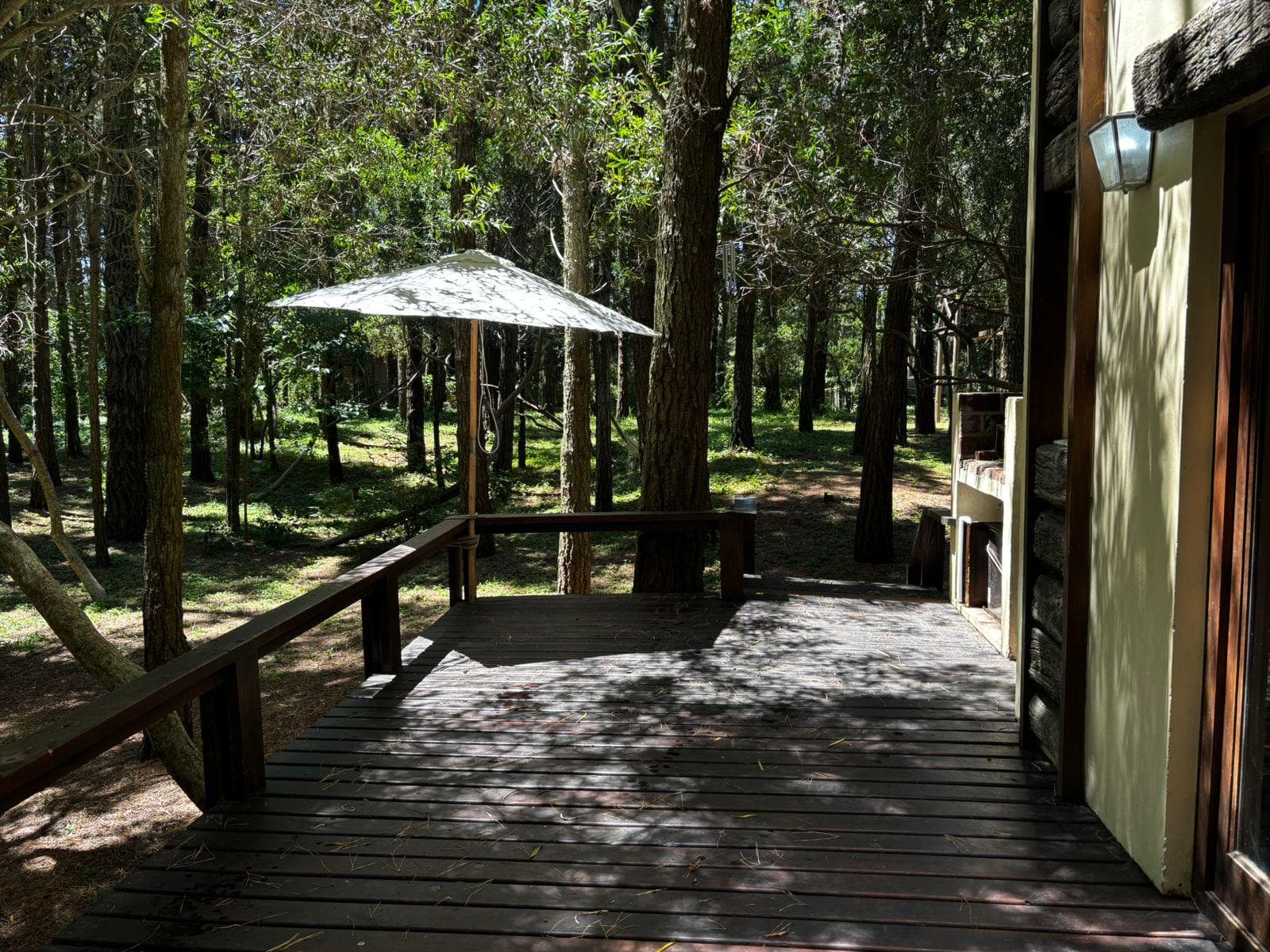 House for 7 guests set on a spacious private forest property