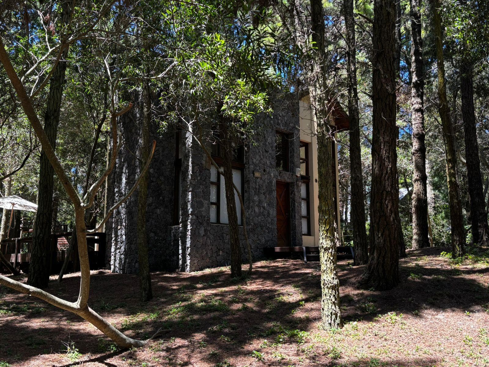 House for 7 guests set on a spacious private forest property