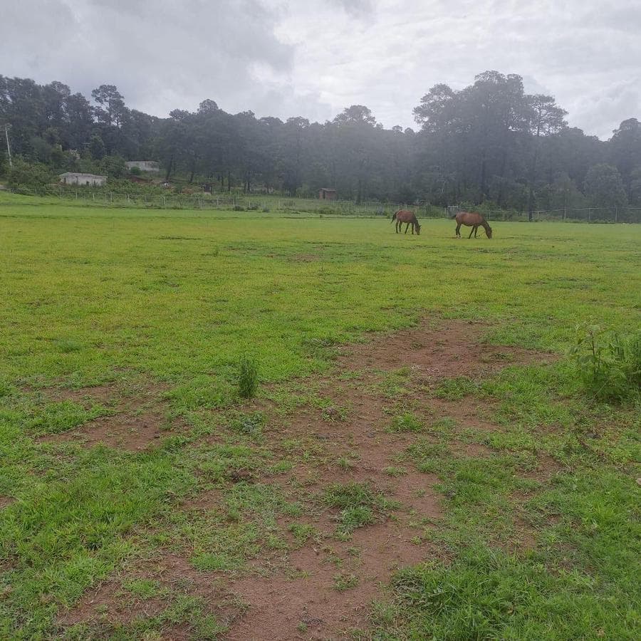 LAND FOR SALE IN VALLE DE BRAVO WITH ZONING CLASSIFICATION H.333.A