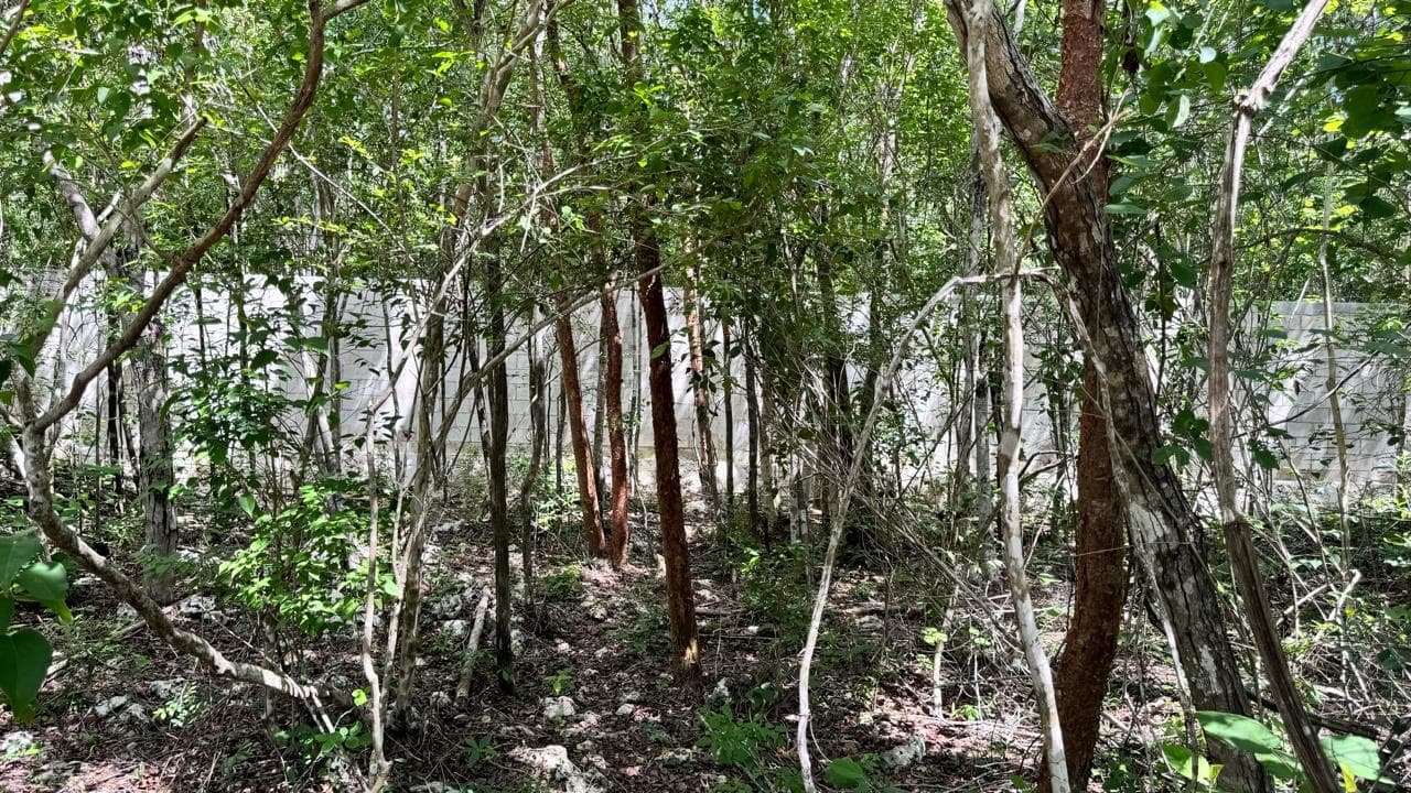 LAND FOR SALE: 166 M2, READY FOR TITLE TRANSFER, SENDEROS MAYAKOBA IN PLAYA DEL CARMEN
