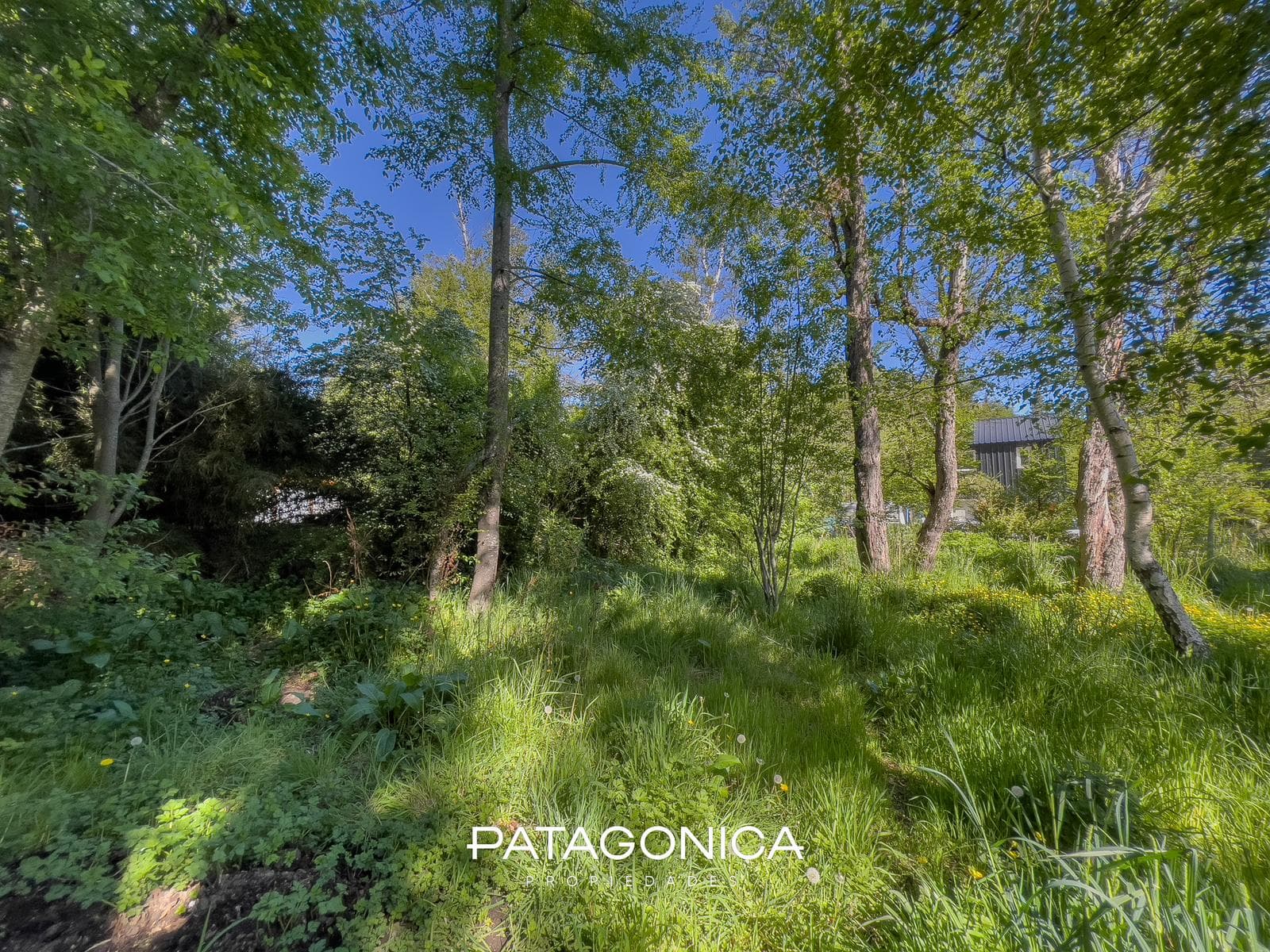 HOUSE FOR SALE m2 + APARTMENT m2, LAS BALSAS, VILLA LA ANGOSTURA