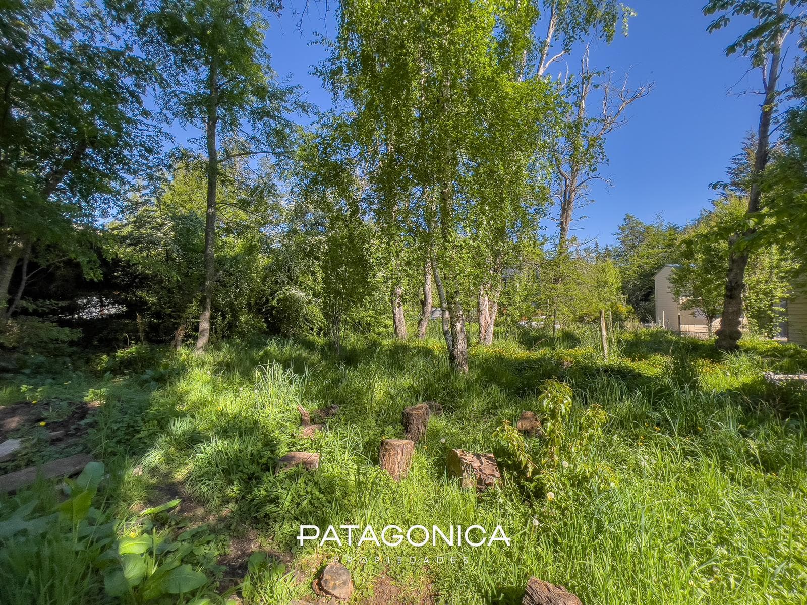 HOUSE FOR SALE m2 + APARTMENT m2, LAS BALSAS, VILLA LA ANGOSTURA