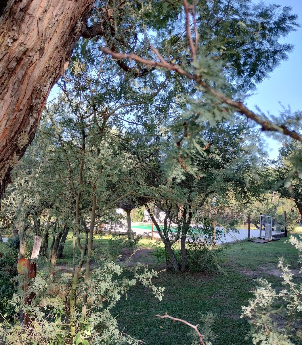 Cabin with a pool for sale in Arroyo de Los Patos | Natural setting and rental potential
