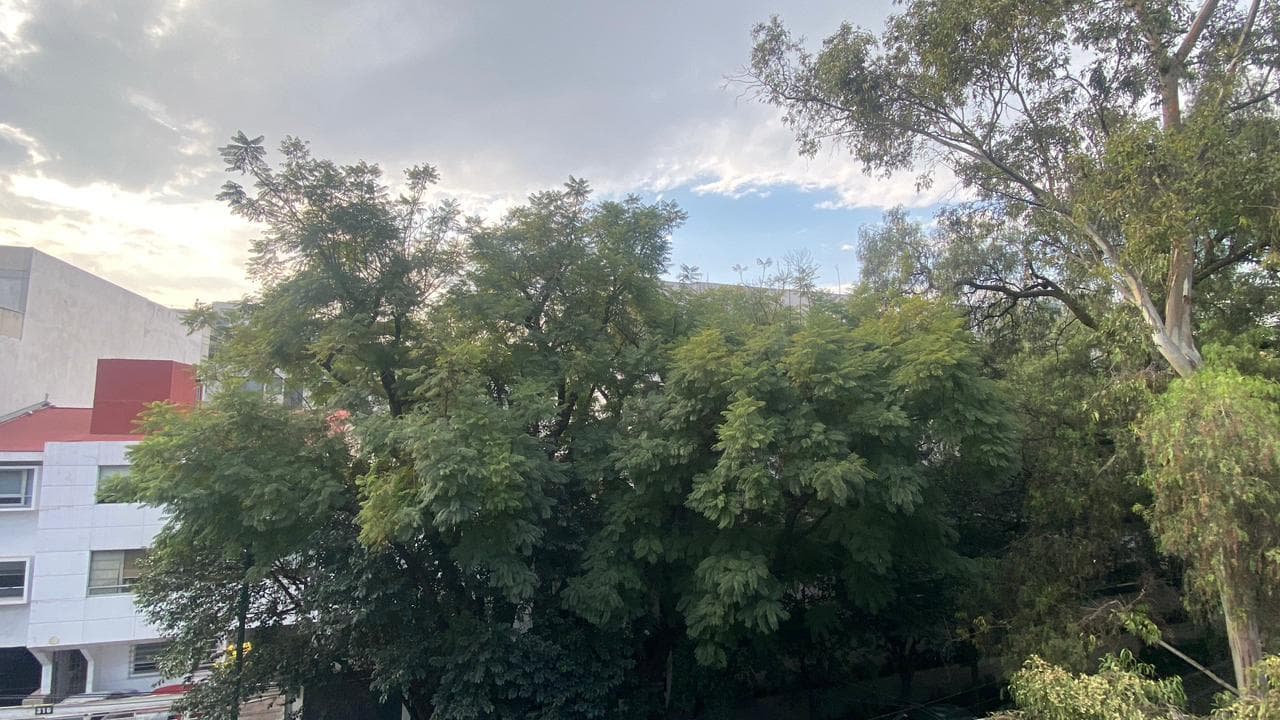 Office for Rent in Polanco