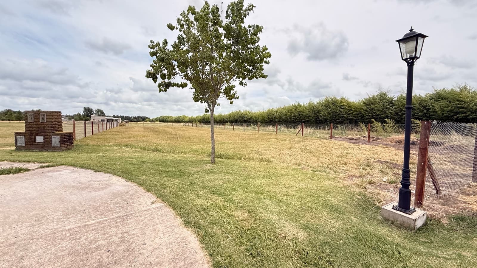 Dive into the exciting world of La Federala, where your dreams will come to life like never before!