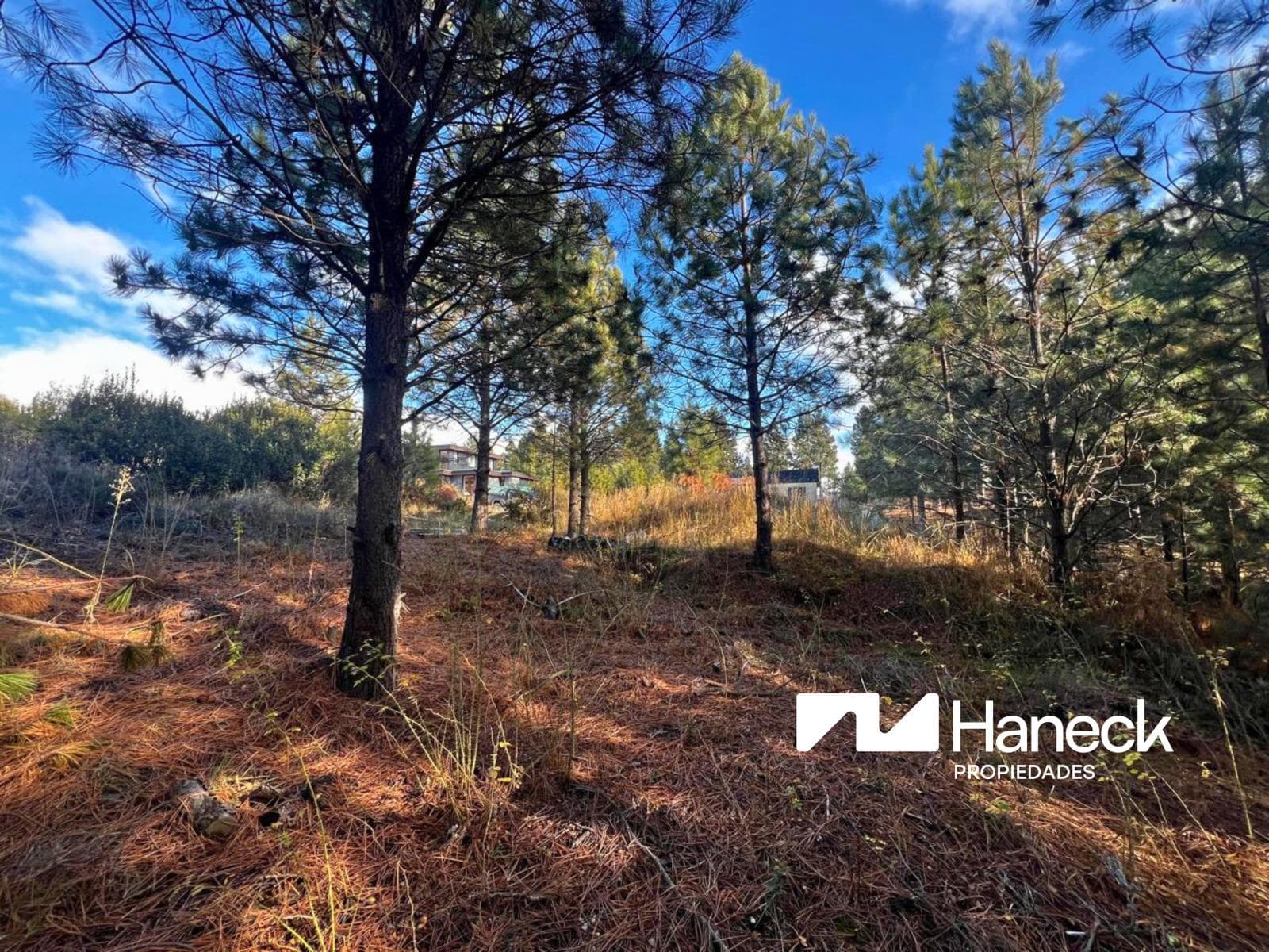 Land in Solares del Este