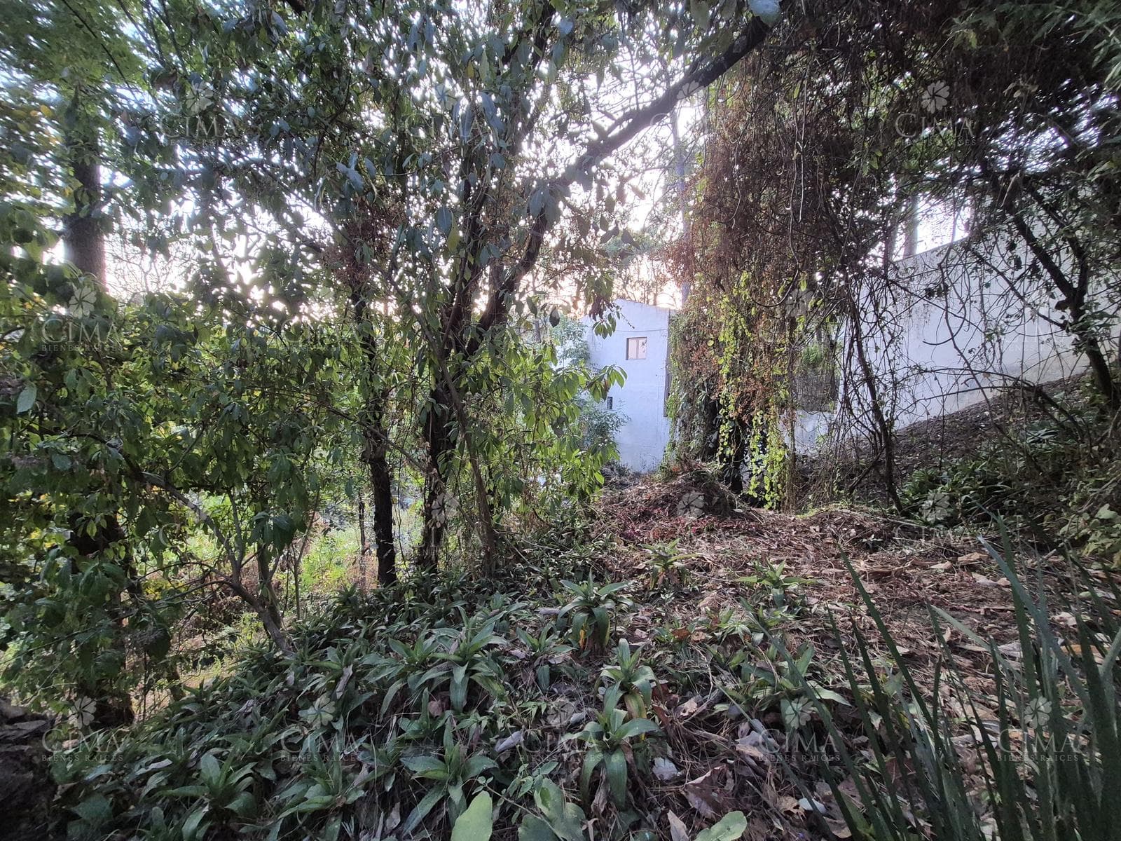 Land for Sale in the Del Bosque Subdivision, Cuernavaca - T72