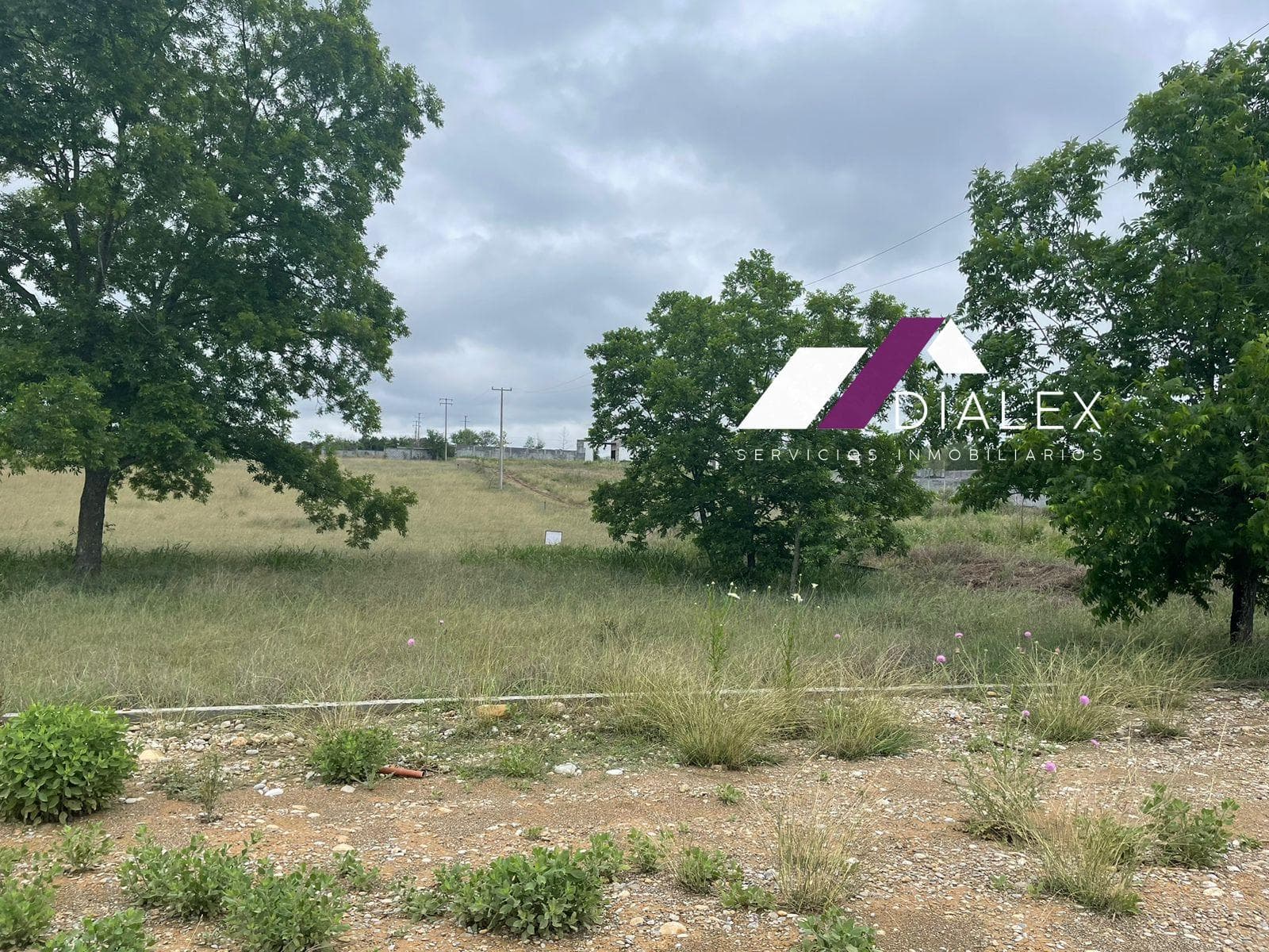 FOR SALE: 2,245 m2 lot - Rayones Highway, on the way to BIOPARQUE in Montemorelos