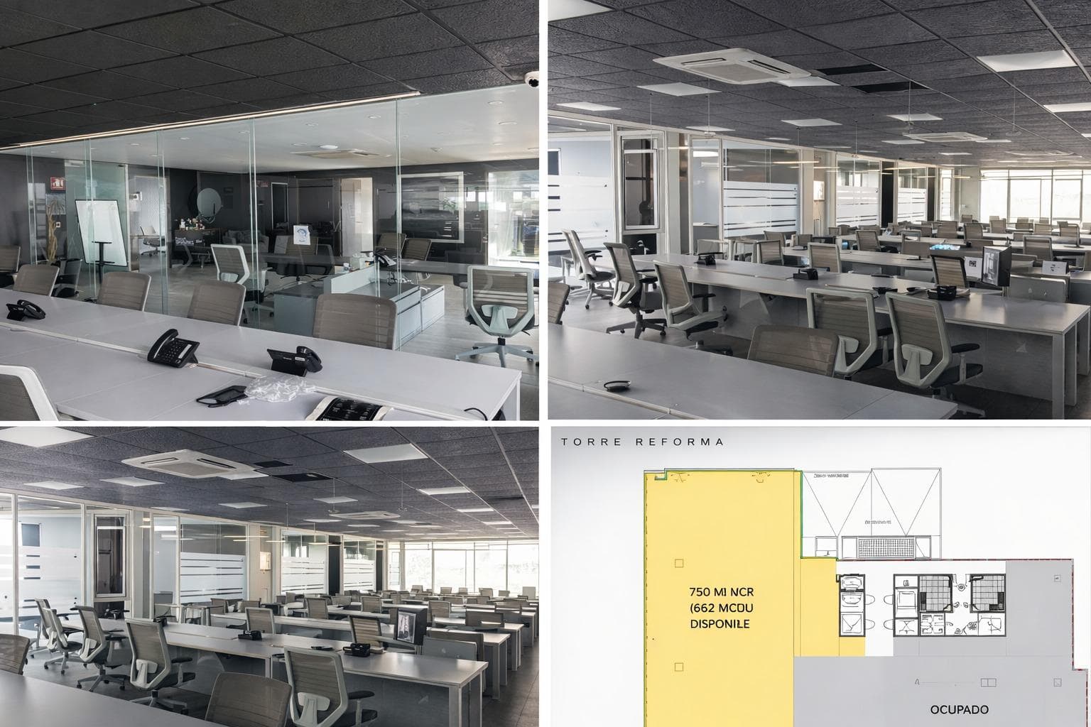 Office for Rent in Juárez
