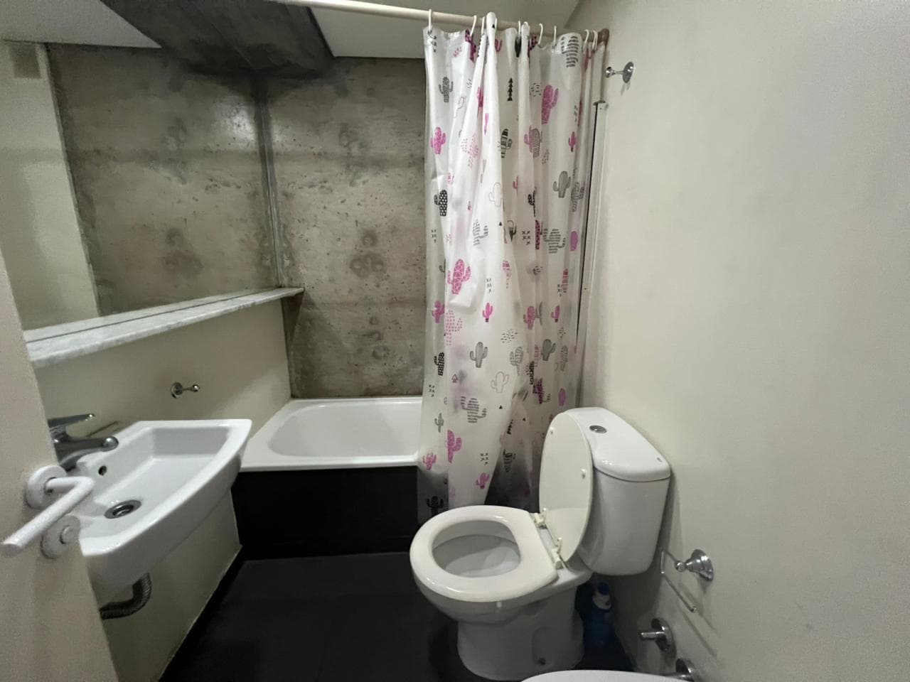 One-bedroom short-term rental in Lourdes