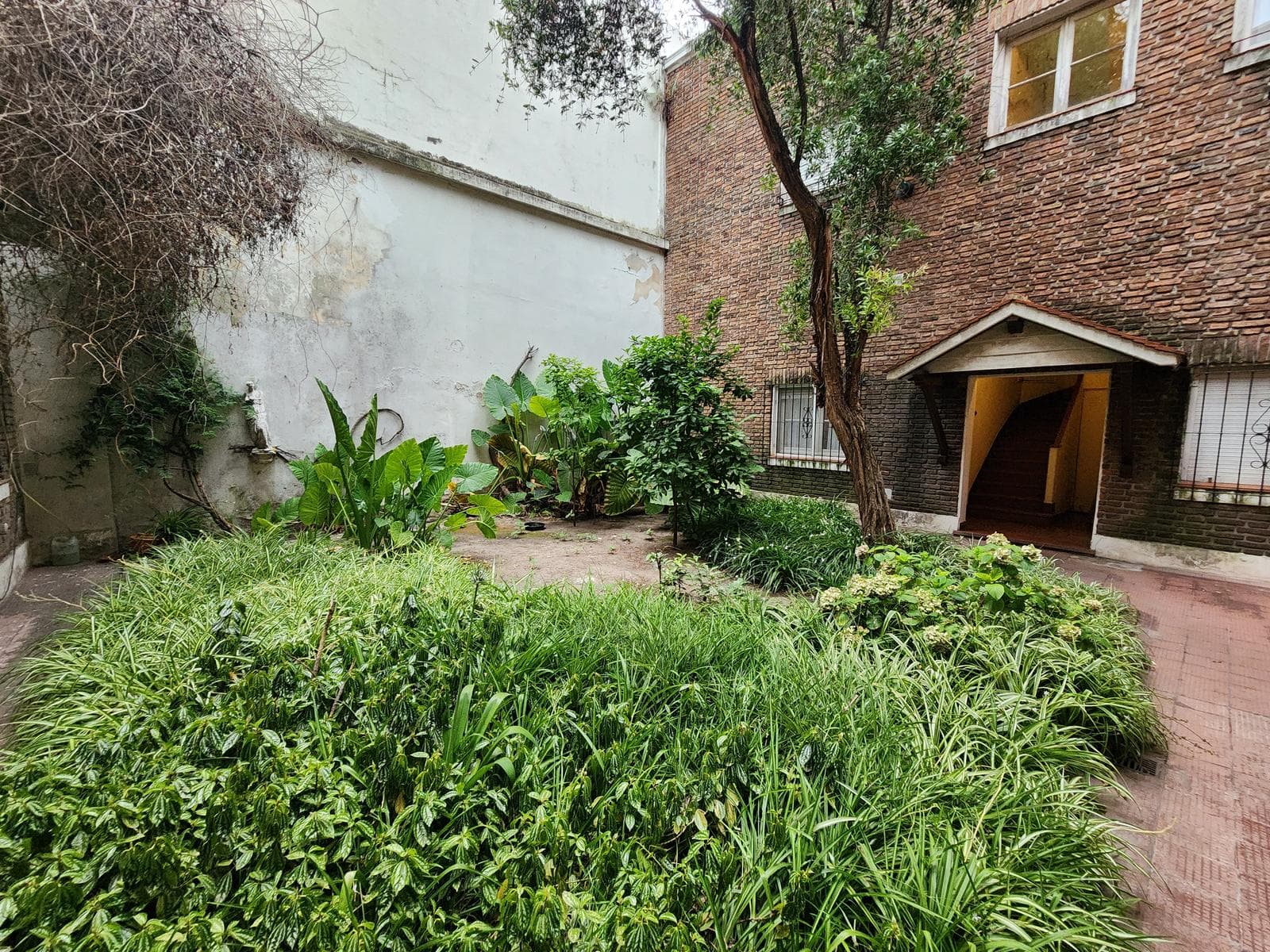Apartment for Sale in Barrio Norte: 3 Rooms