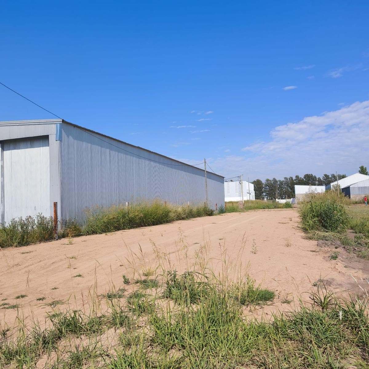 Lots in the Roldan Industrial Area