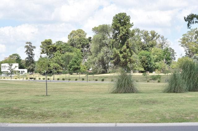 House by the Lagoon, SAN MATIAS NEIGHBORHOOD, Area 1