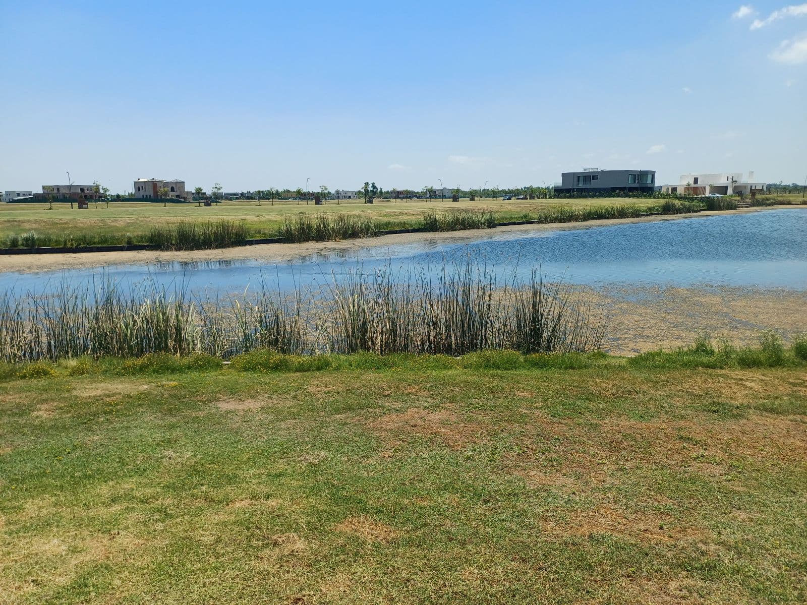 Opportunity: Lot for Sale on the Lake in Amarras - Puertos del Lago