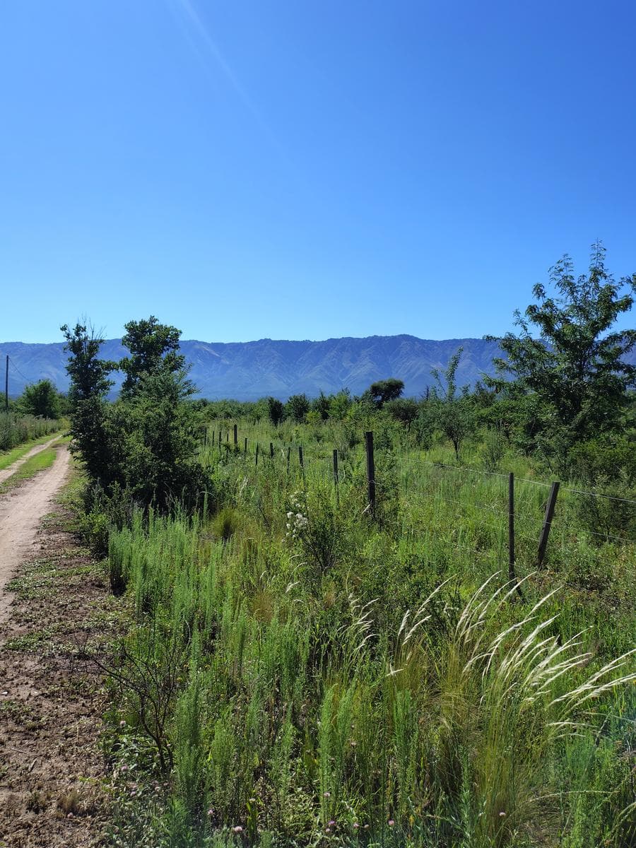 Lots with Sweeping Views of the Mountains | Las Calles, Nono | 9,000 m² and 1.5 ha | Deed