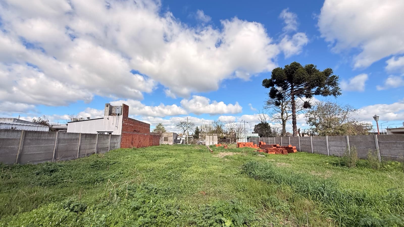 There are places where dreams begin before the first brick is laid | Lobos