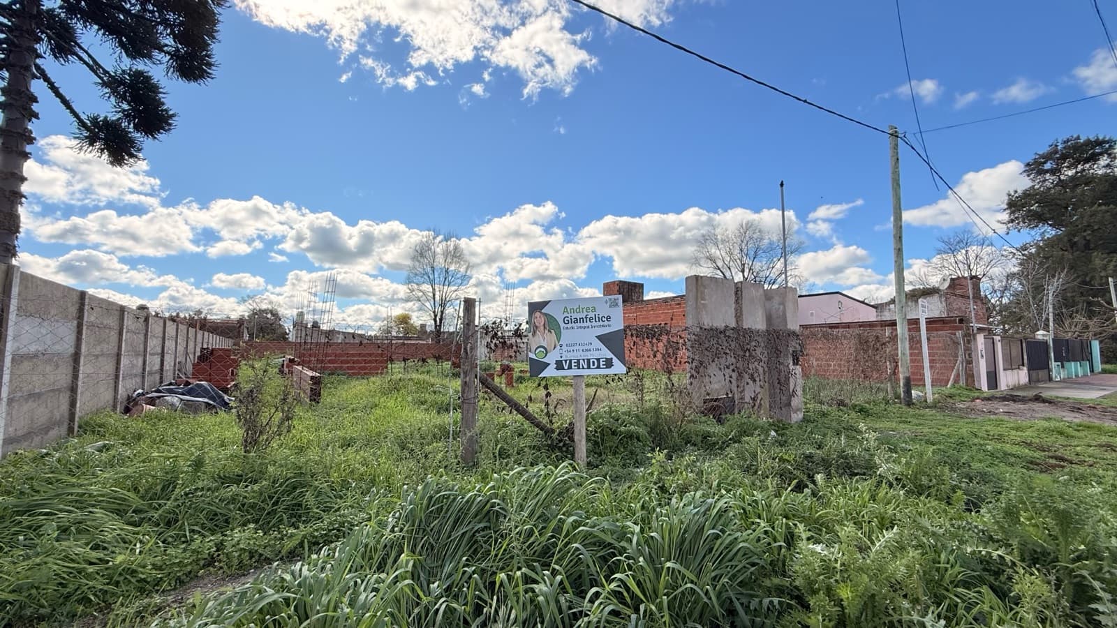 There are places where dreams begin before the first brick is laid | Lobos
