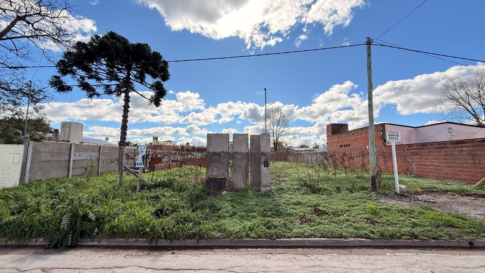 There are places where dreams begin before the first brick is laid | Lobos