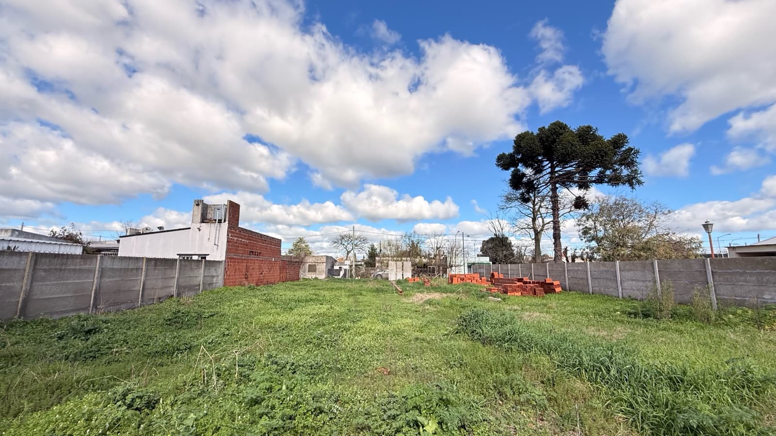 There are places where dreams begin before the first brick is laid | Lobos