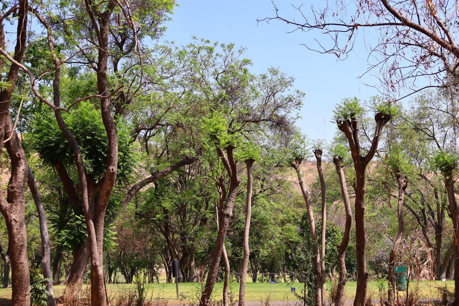 Land for sale in the Las Cañadas subdivision, Zapopan, Jalisco.