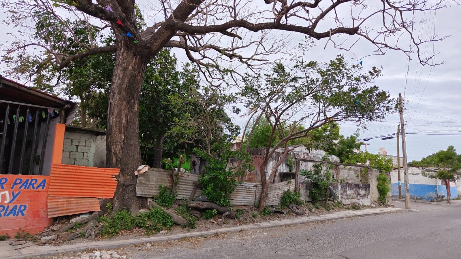 Lot on 2 Caminos