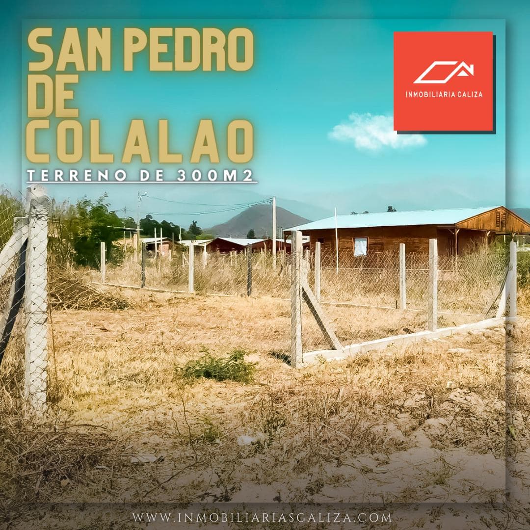LAND FOR SALE IN SAN PEDRO DE COLALAO | TUCUMAN