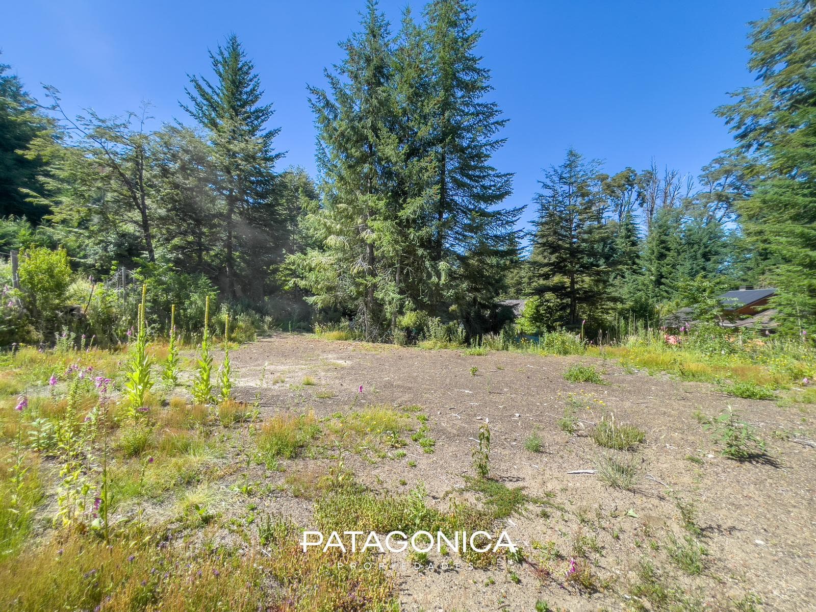FOR SALE: 1,100 m² Lot in PH, Puerto Manzano, Villa La Angostura