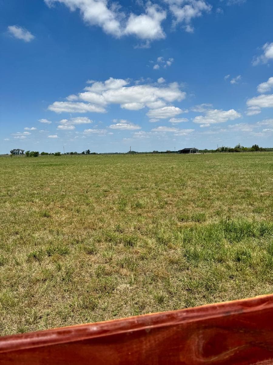 1.5-hectare lot. Title deed available and ready for immediate possession. Chacras de Olivia neighborhood. Zárate