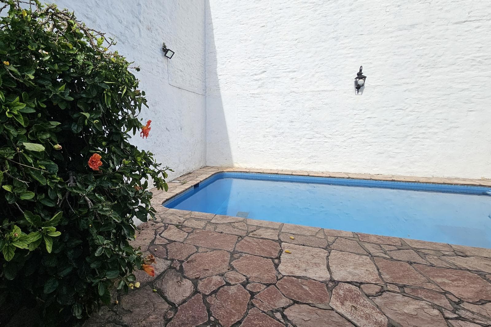 House for Sale: 5 Rooms, Pool, Park, Garage, Flores