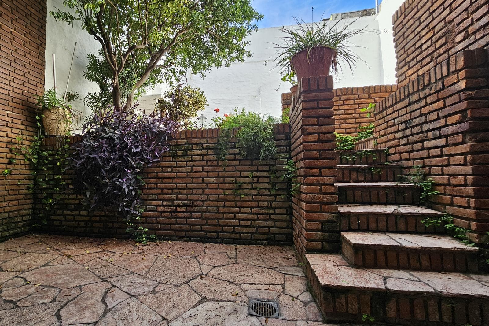 House for Sale: 5 Rooms, Pool, Park, Garage, Flores