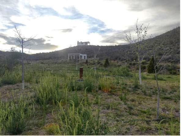 Land with a building for sale in Parras II, Coahuila de Zaragoza