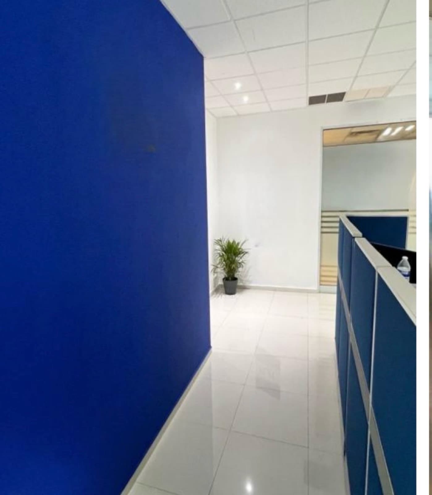 Office - Del Paseo Residencial