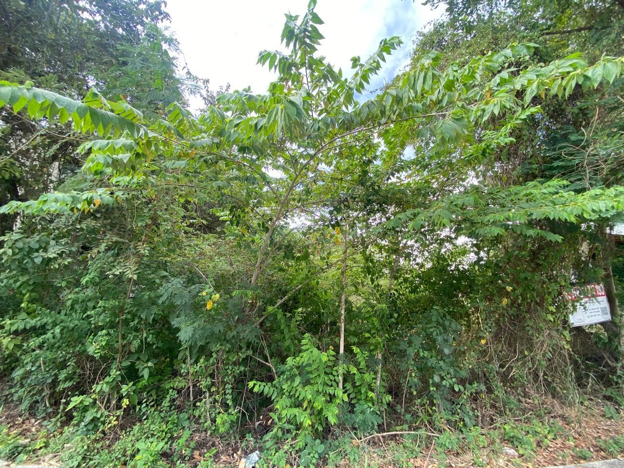 PLAYACAR RESIDENTIAL Lot
