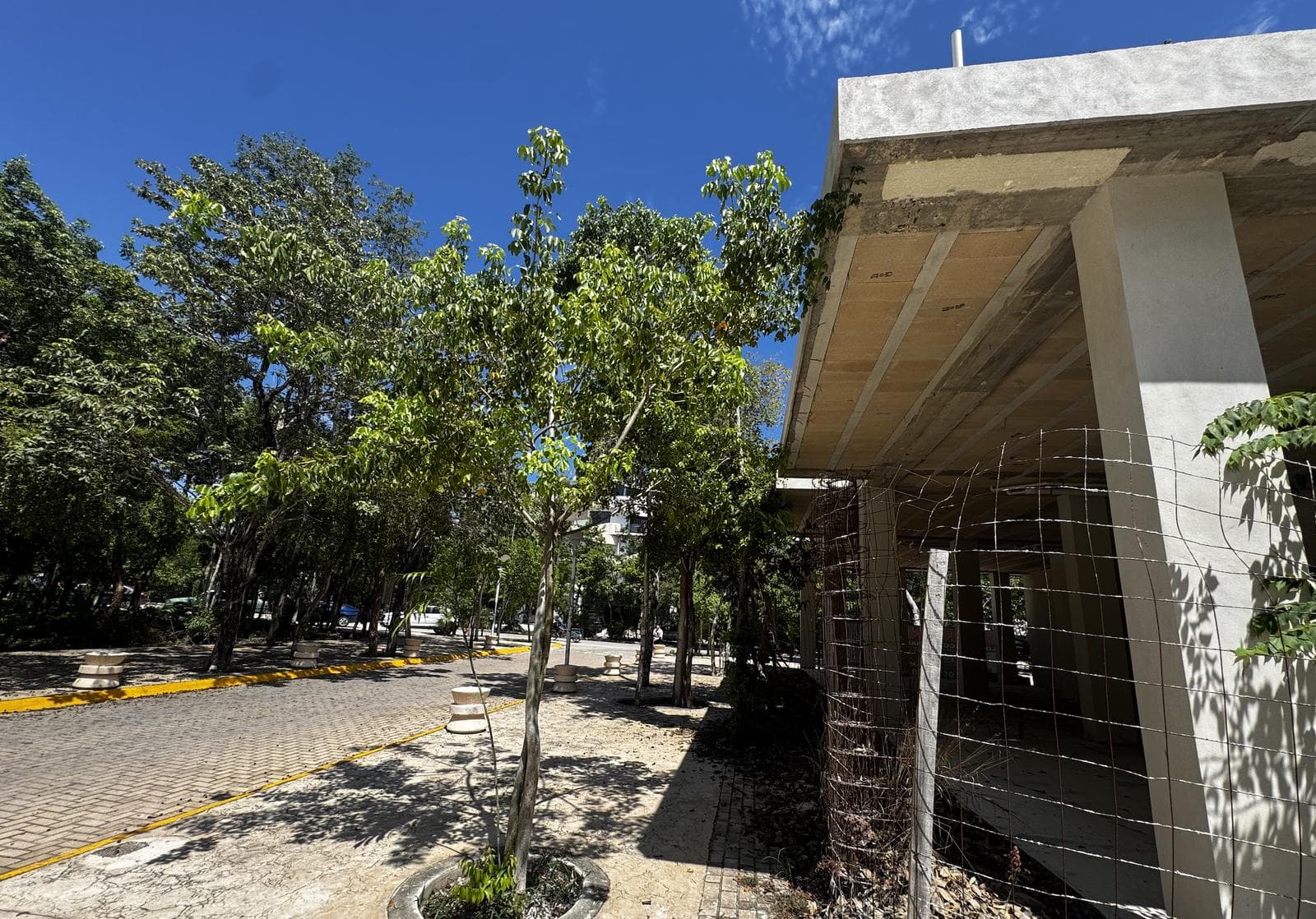 The Best Corner in Aldea Zama