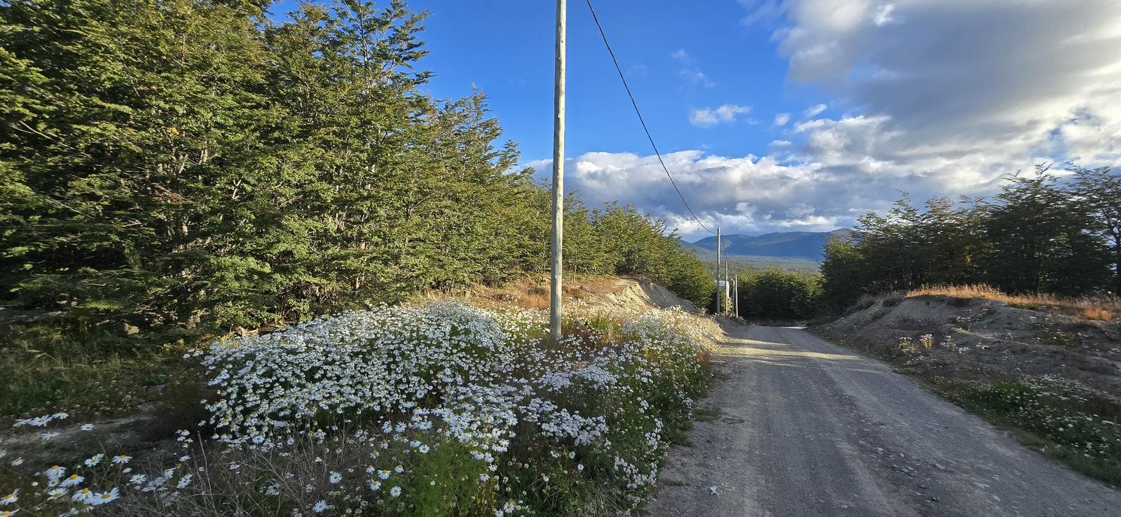 Land for Sale with Approved Building Plans