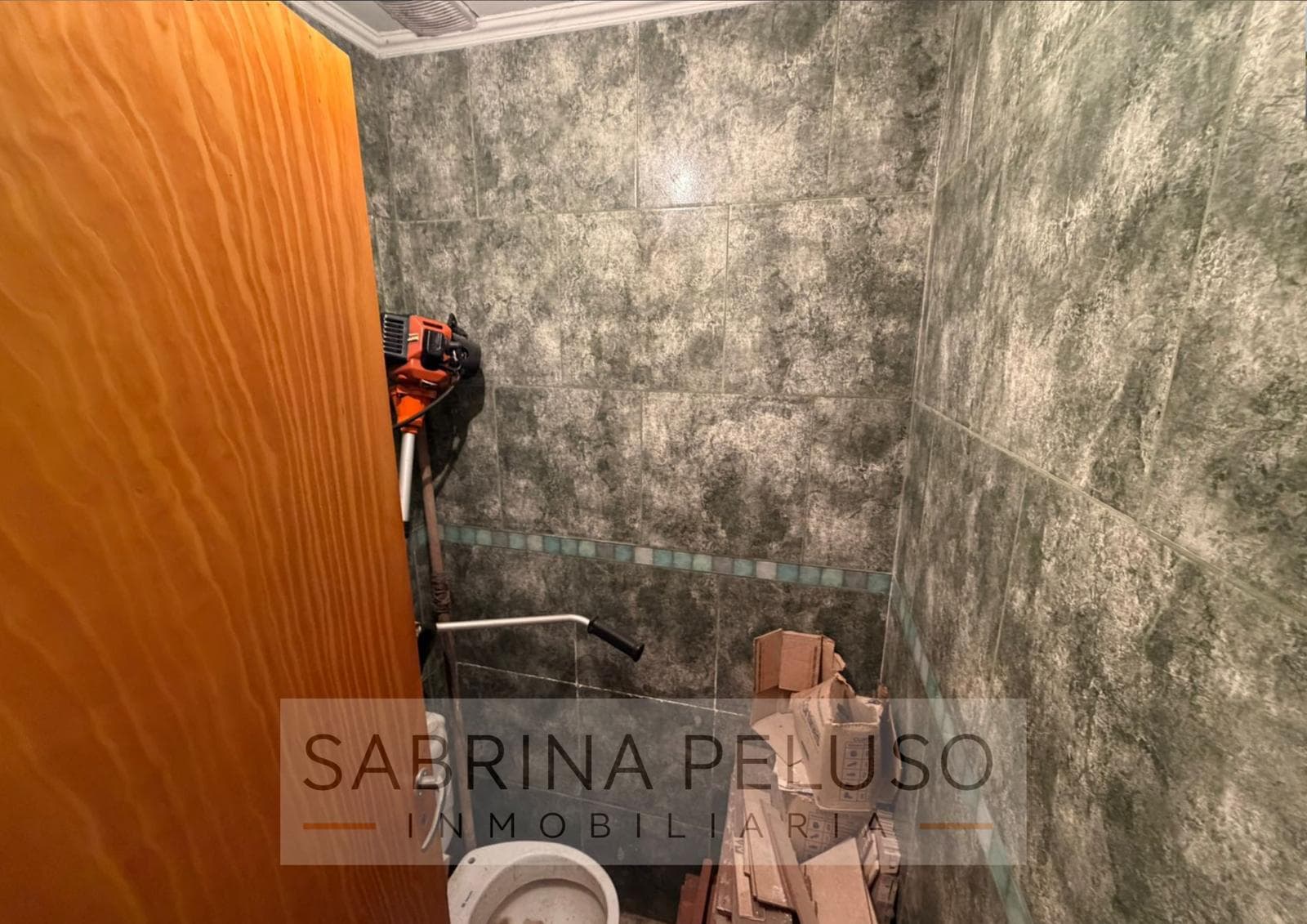 4-Bedroom House for Sale - Francisco Alvarez