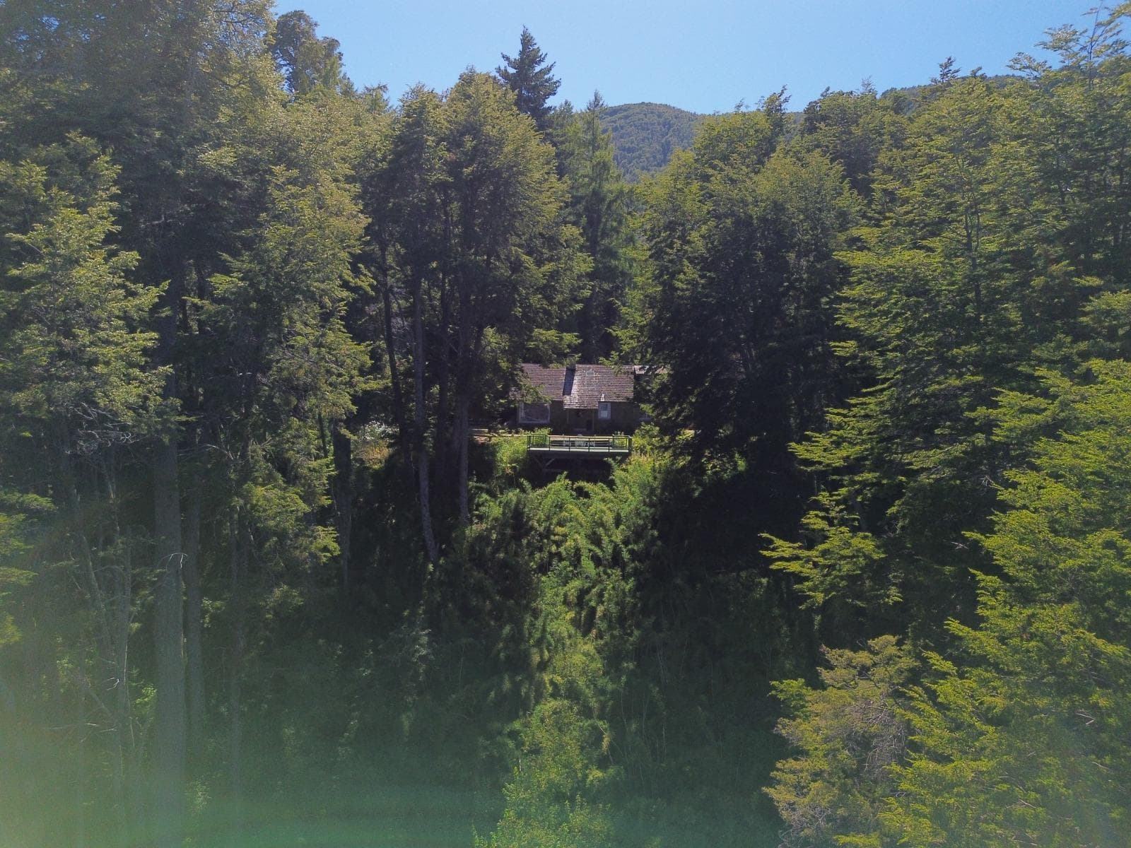 House on the Bare Hill