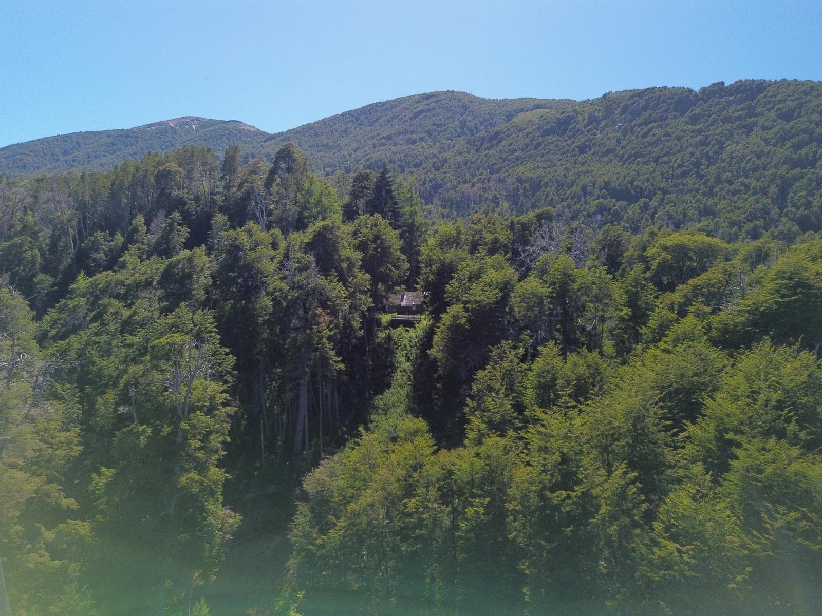 House on the Bare Hill