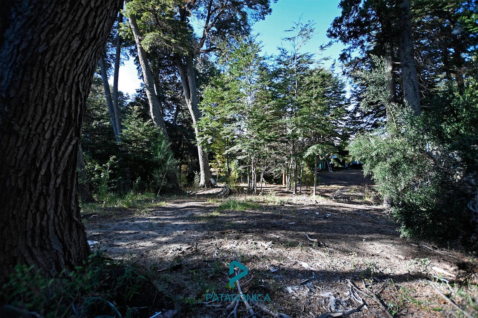 FOR SALE: 43-square-meter house on a 5,149-square-meter lot. Suitable for 4 houses along the Rio Bonito riverbank, with utilities. Altos de Manzano