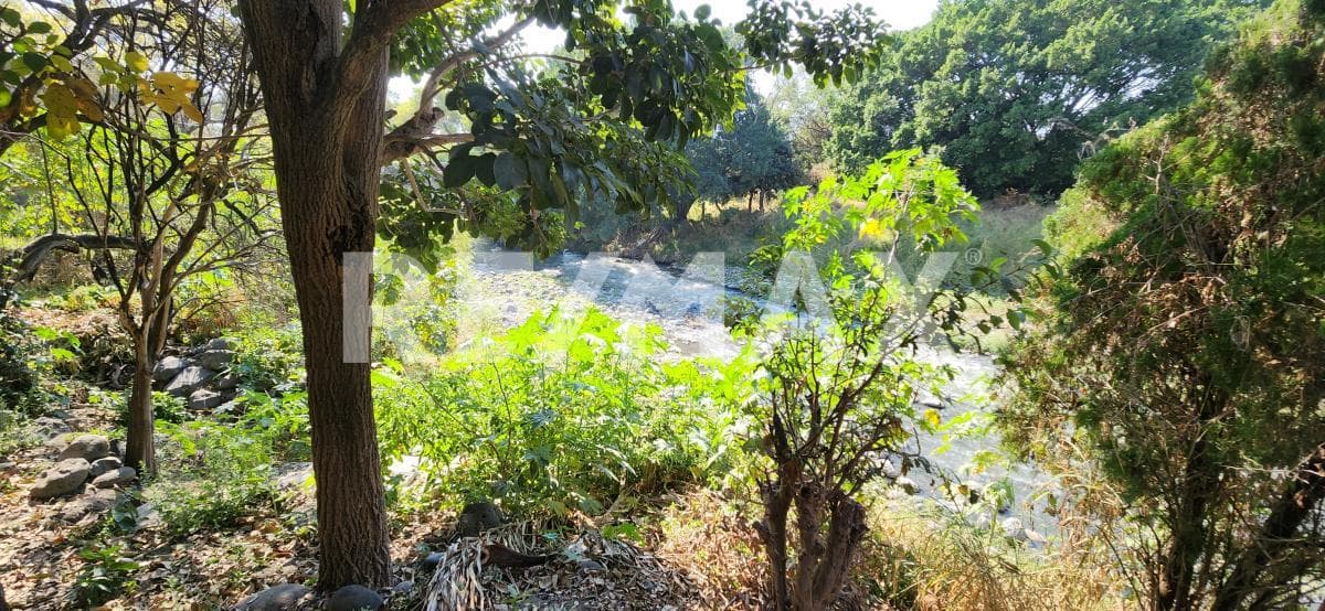 House for Sale in Morelos, San Pedro Apatlaco, Ayala