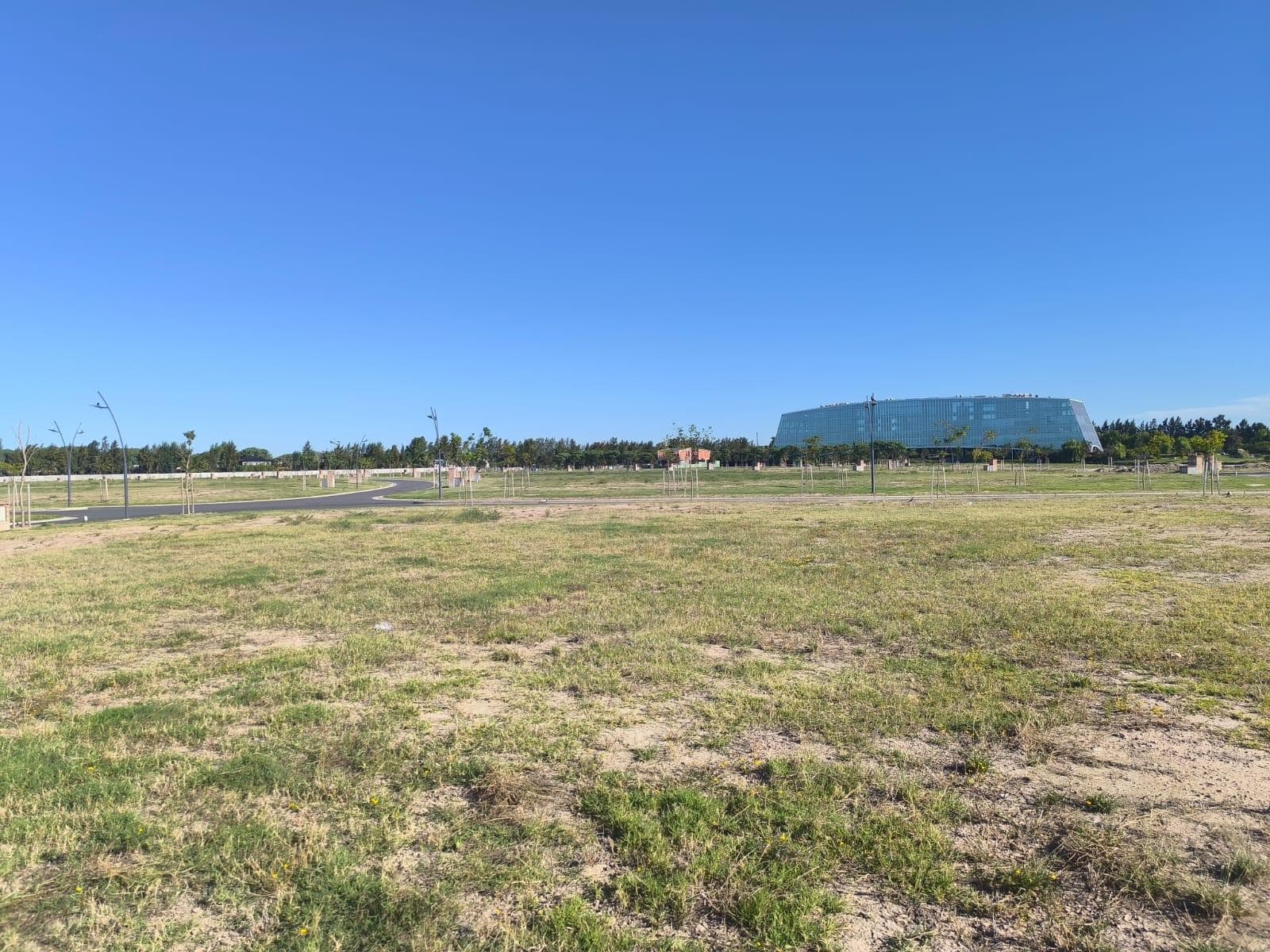 Land for Sale in the Silvestre Neighborhood, Nordelta, Tigre