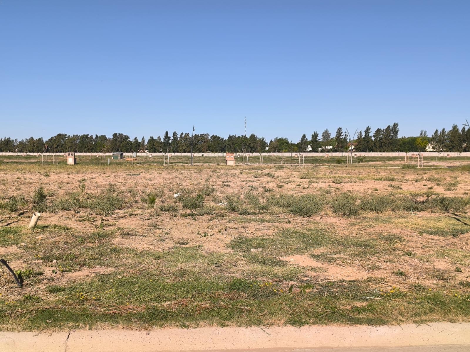 Land for Sale in the Silvestre Neighborhood, Nordelta, Tigre