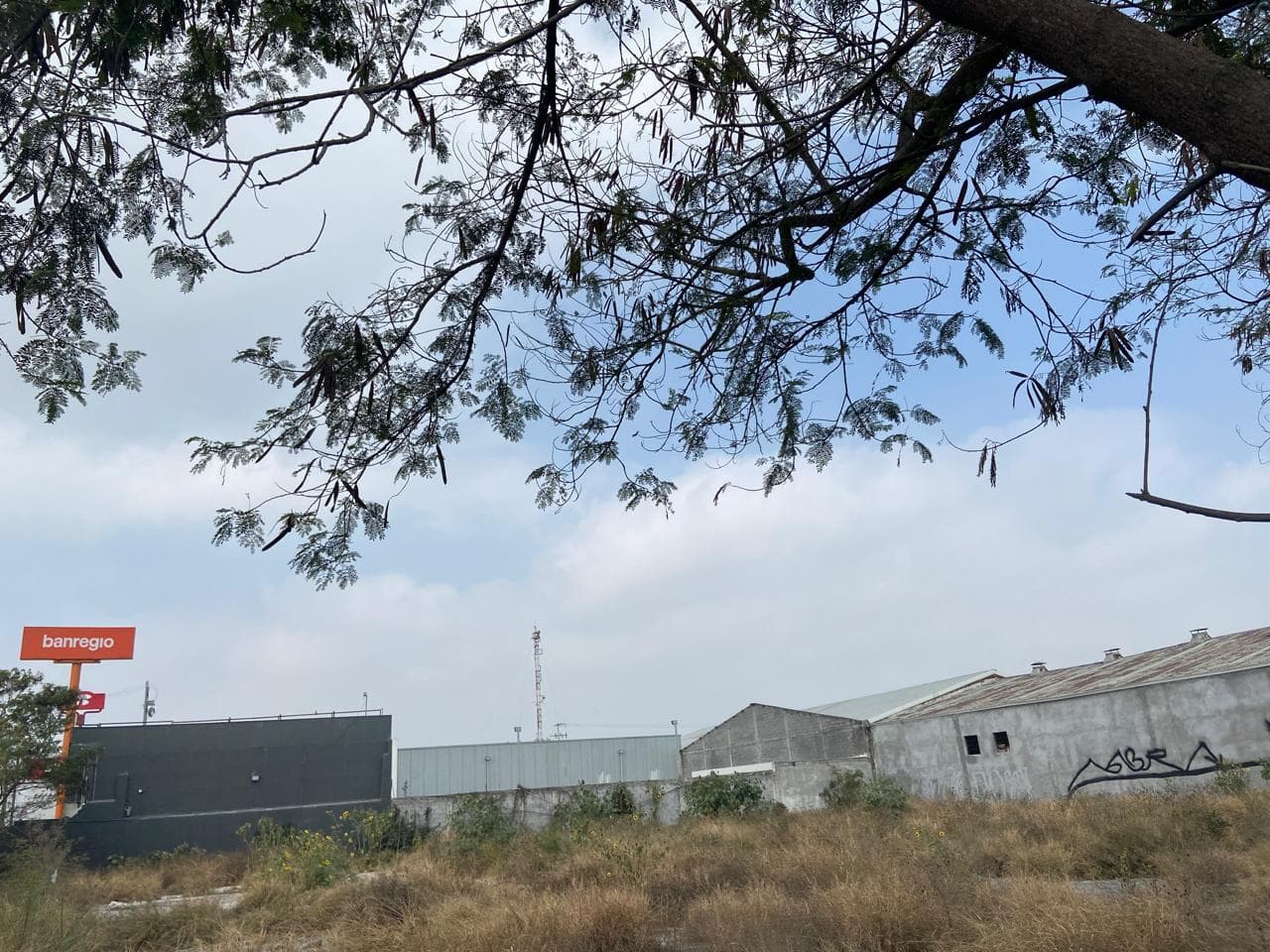 Land in the Cargo Terminal