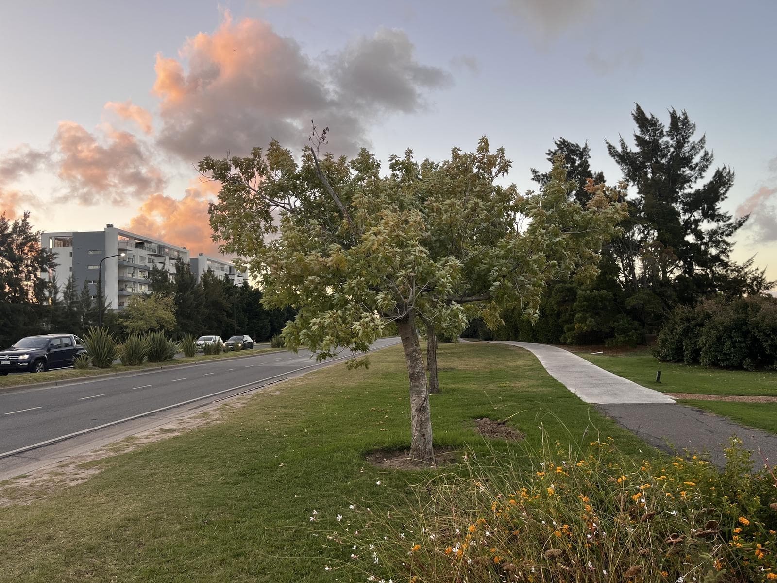 Ideal Investment Apartment - El Palmar - covered parking - pool - storage room and green views