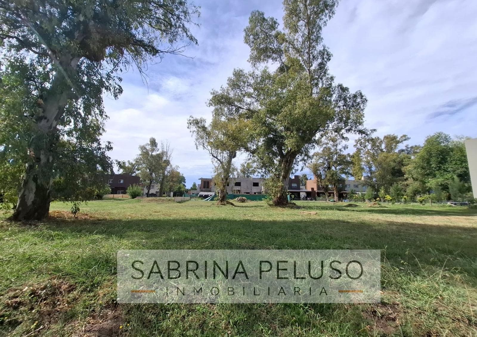 Property for Sale in Alvaréz del Bosque