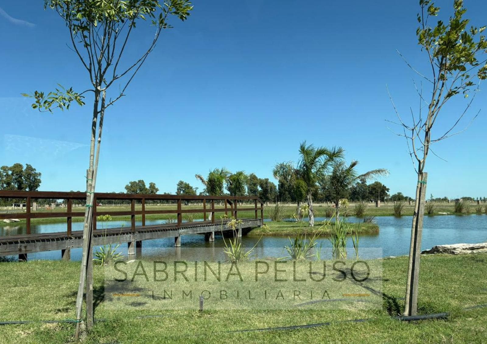 Lot for SALE at Haras Andrea Virginia - Plomer